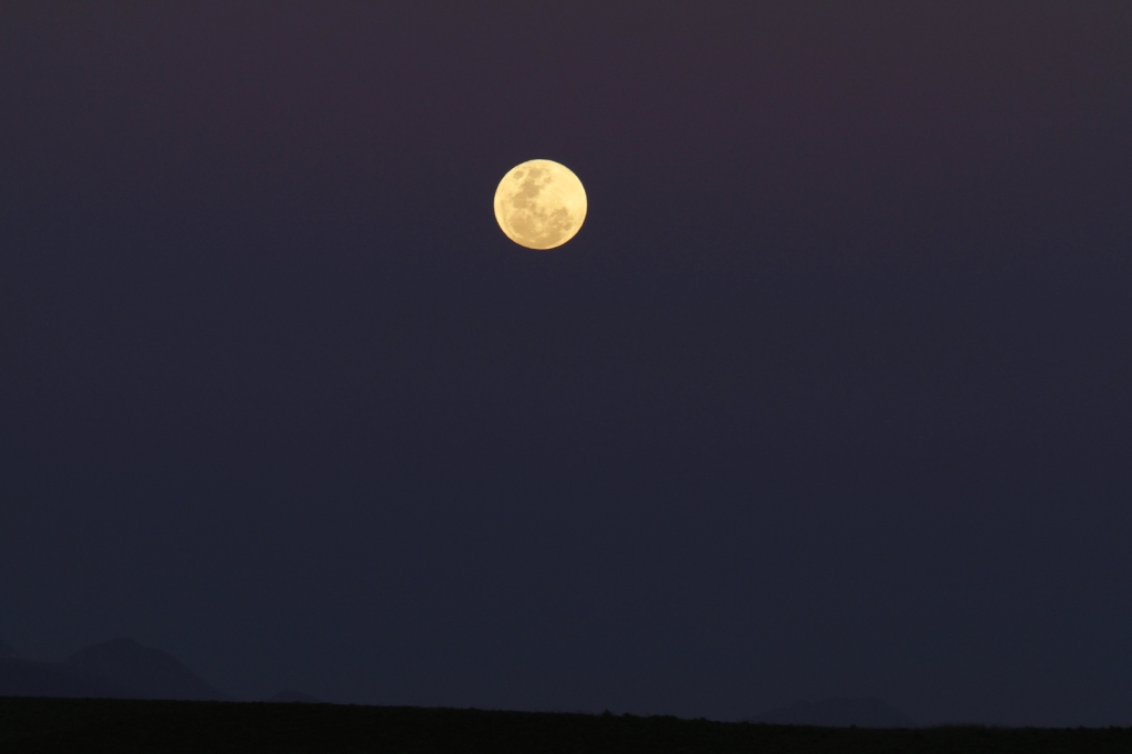 03 - Bontebok NP (16).jpg